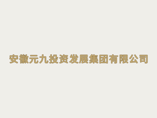 安徽元九投資發展集團有限公司