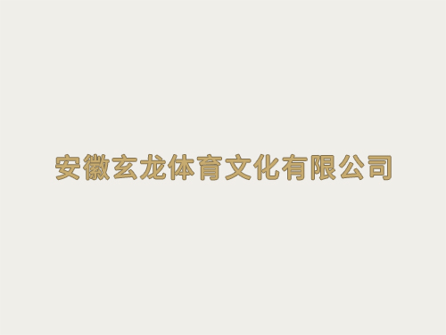 安徽玄龍體育文化有限公司